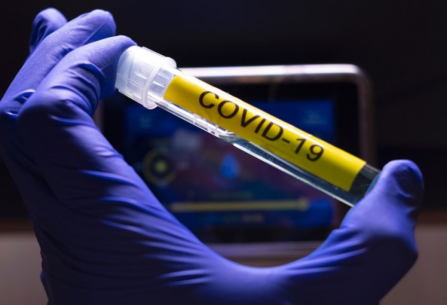 В Белауси появилась собственная вакцина против коронавируса