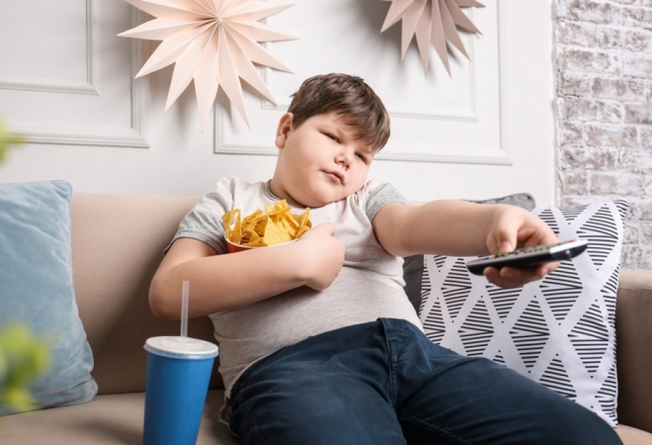 Европейский регион ВОЗ: пандемия может привести к дальнейшему распространению детского ожирения