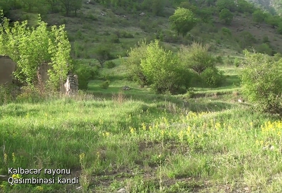 وزارة الدفاع تنشر مقطع فيديو عن قرية قاصمبناسي المحررة في محافظة كالبجر (فيديو)