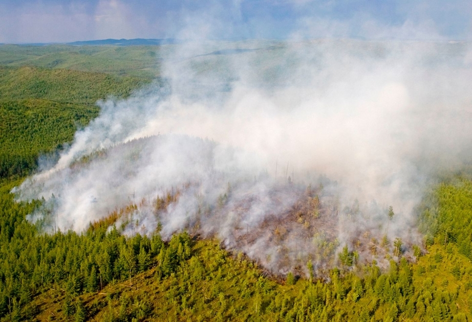 Schwere Waldbrände in Sibirien