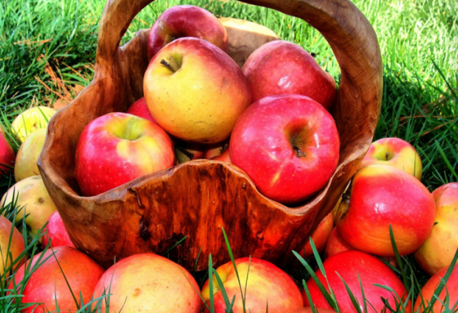 阿塞拜疆苹果出口量增加