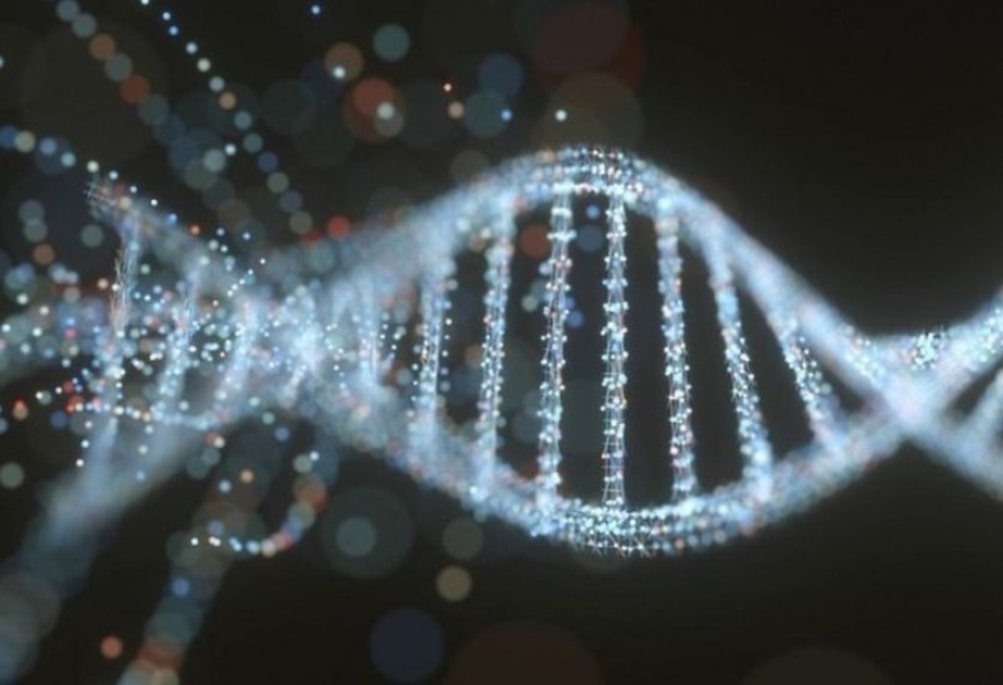Scientists publish first complete human genome