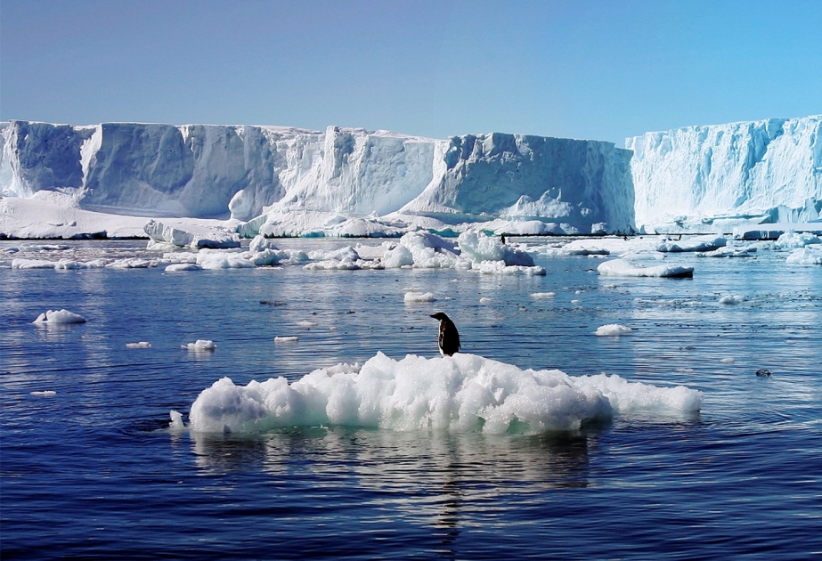 Рекордное потепление в Антарктиде: казус природы или нечто большее?
