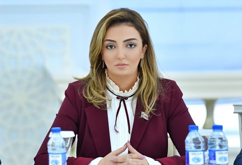 Deputat: ABŞ Azərbaycanı regionda sabitləşdirici amil hesab edir