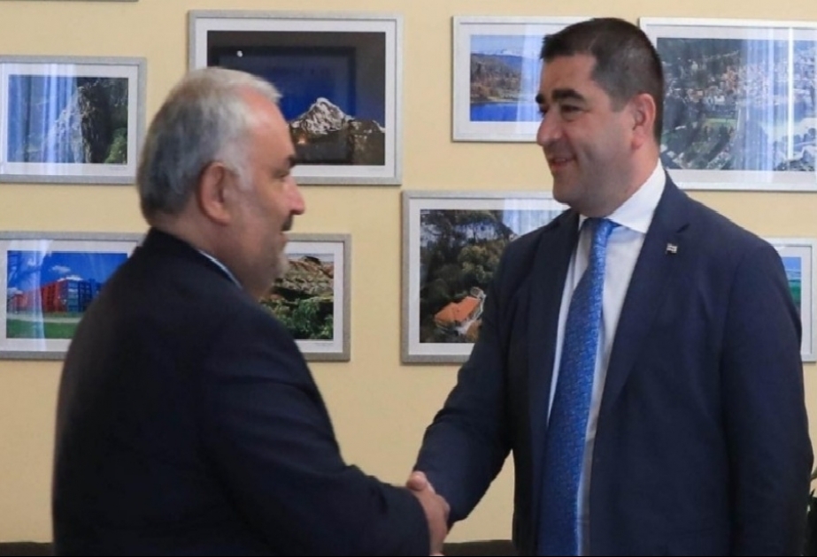 Шалва Папуашвили: Мы придаем большое значение трехстороннему сотрудничеству Грузия-Турция-Азербайджан