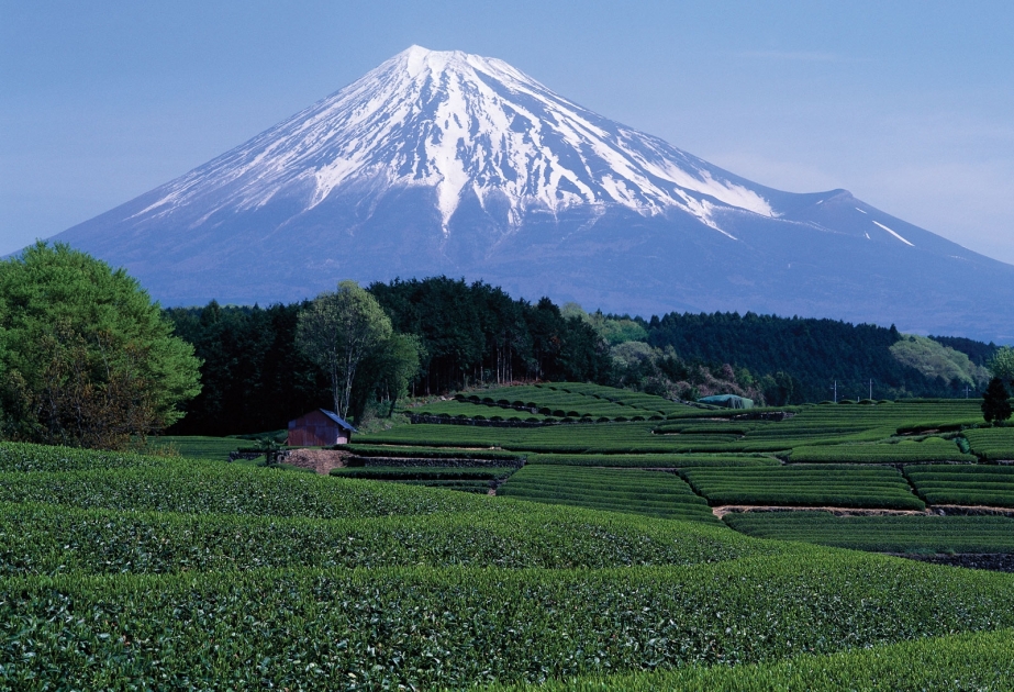Mount Fuji - highest mountain in Japan, recognized as UNESCO World Heritage site