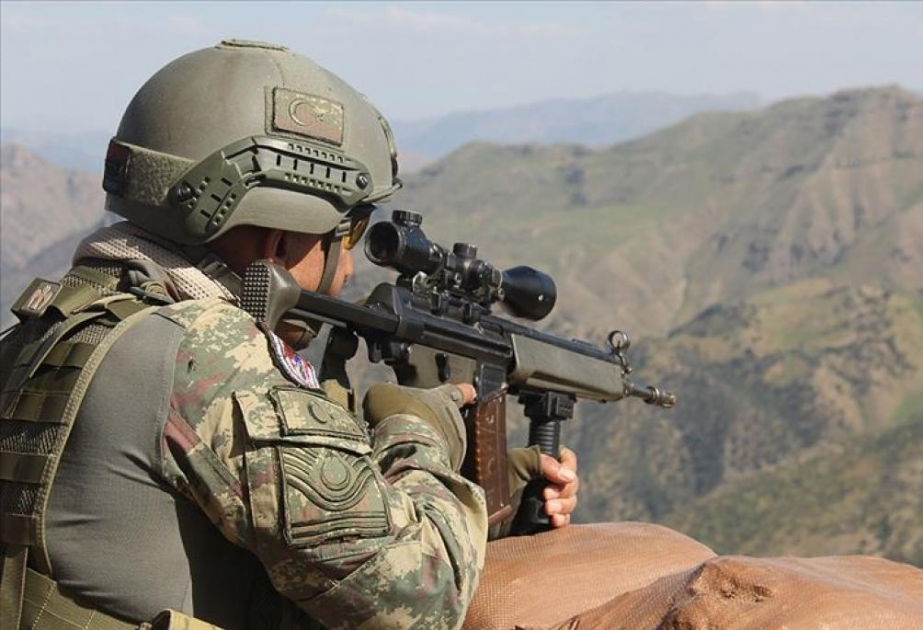 Türkiyə Silahlı Qüvvələri 20-dək terrorçunu zərərsizləşdirib