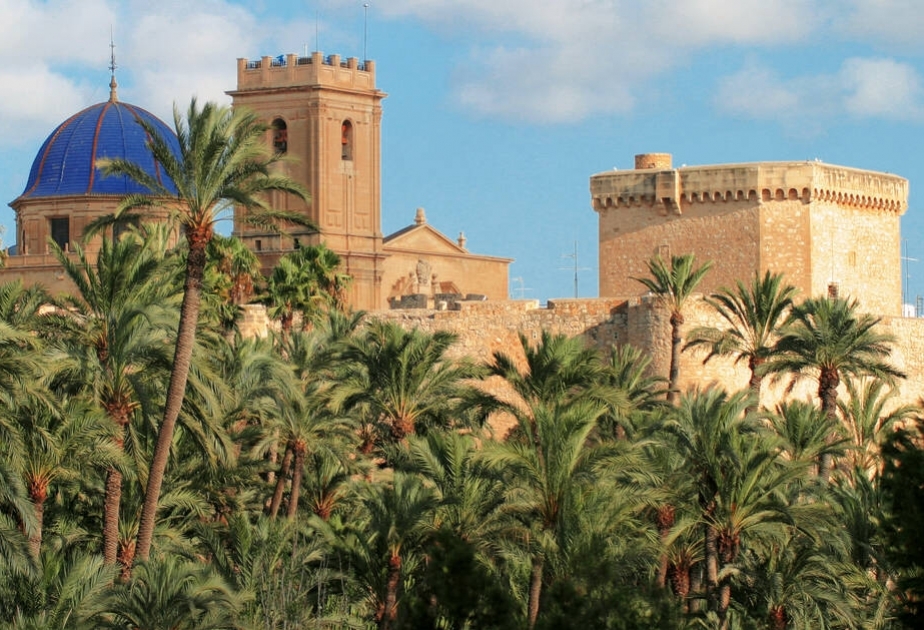 Elche, la ciudad de las palmeras – España