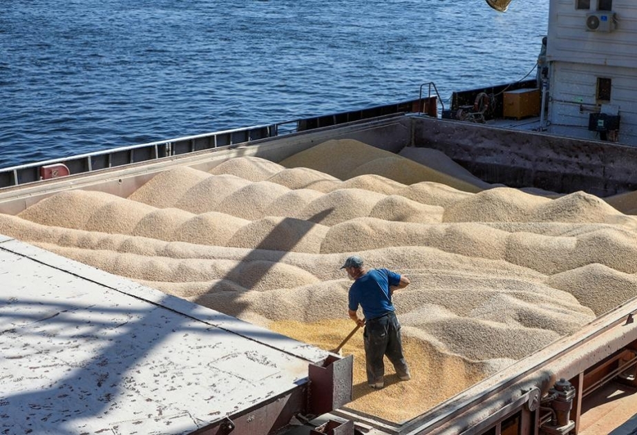 Испания готова возглавить инициативу по вывозу из Украины 8 тыс. тонн зерновых