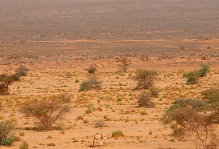 Libye : 20 personnes meurent de soif en plein désert