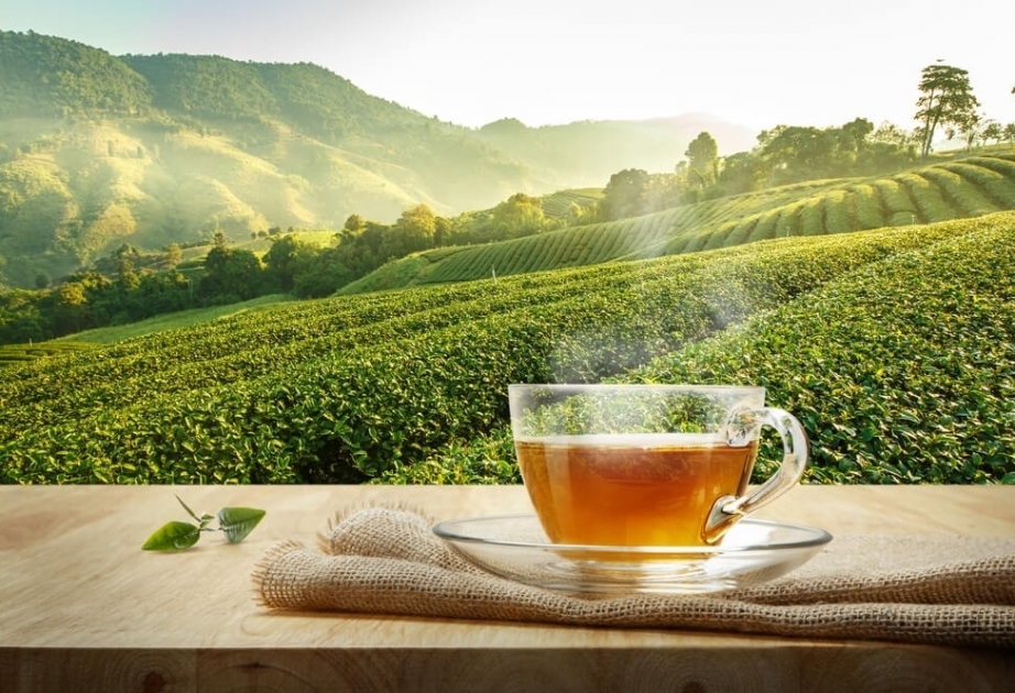 Экспорт азербайджанского чая вырос на 57,2 процента