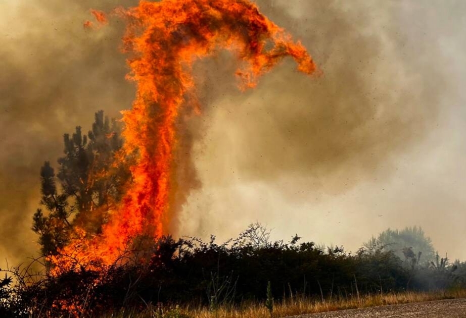 2022 год побил все антирекорды по пожарам в Испании