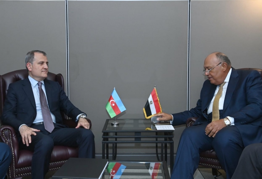 Ägyptischer Außenminister wird über Armeniens Eskalation informiert