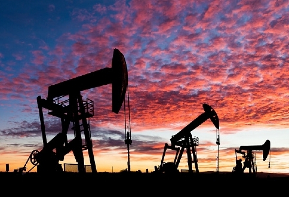 Light crude oil price rises on world markets