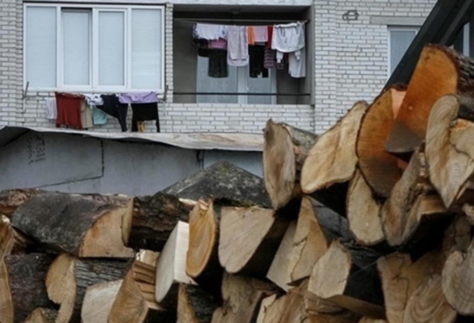 Ukraynada rekord həcmdə odun ehtiyatı toplanıb