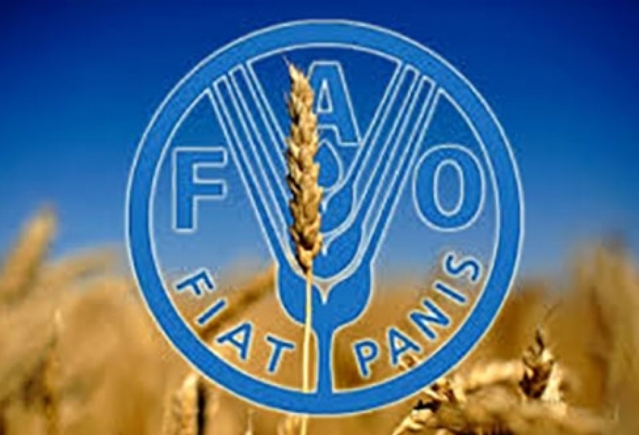 FAO: Ərzaq sistemlərinin islahatlarında nailiyyətlər müzakirə olunacaq