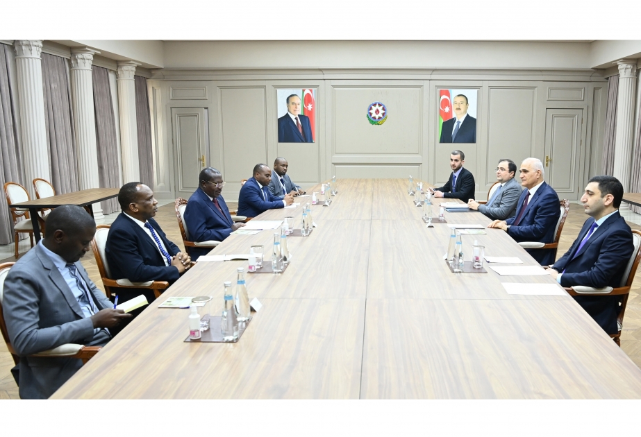Azerbaijani deputy PM meets with vice president of Tanzania