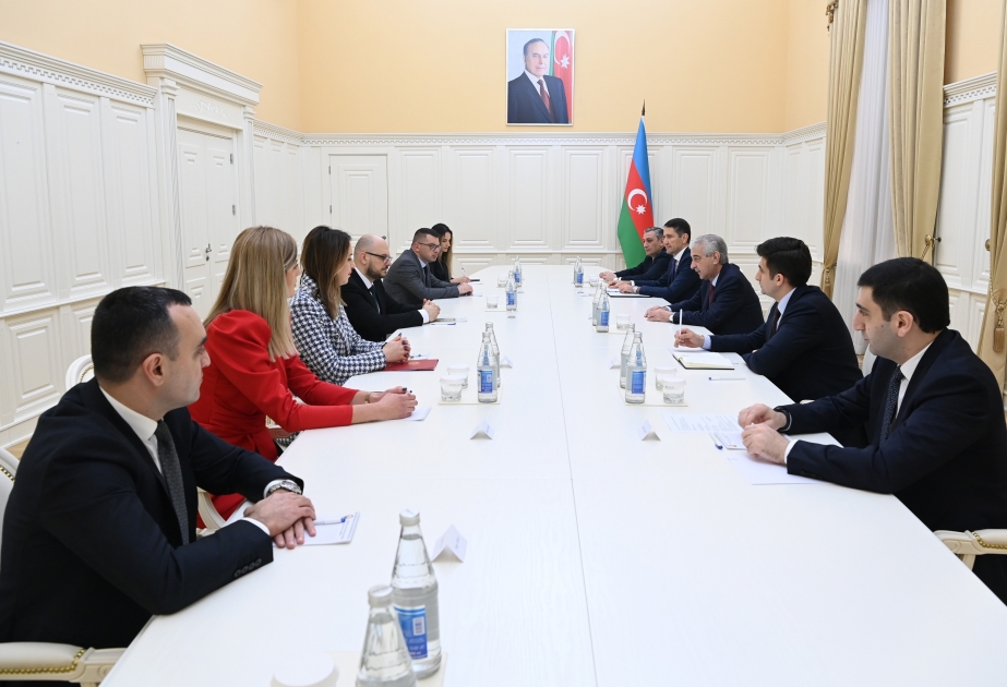 阿塞拜疆副总理阿里·艾哈迈多夫会见黑山劳动和社会保障部部长