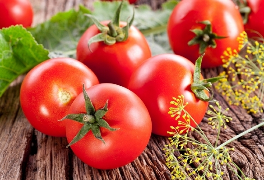 Ликопин в помидорах способствует защите от рака