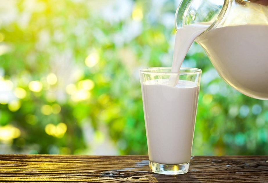 Отказ от молока создает дефицит полезных веществ в организме