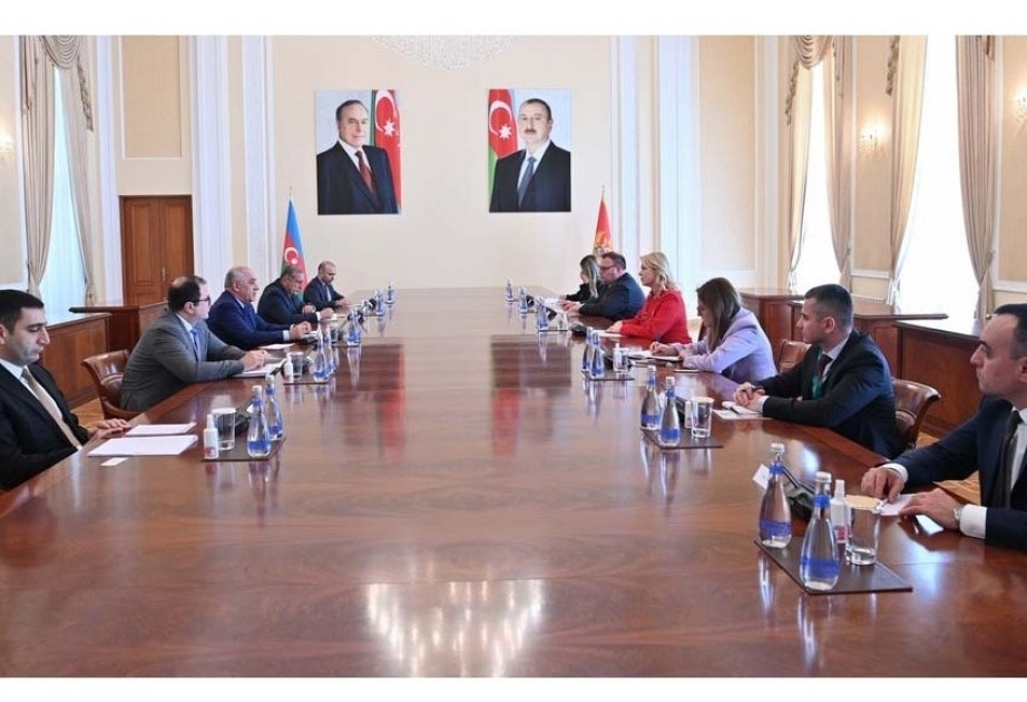 Le Premier ministre azerbaïdjanais rencontre la présidente du Parlement monténégrin