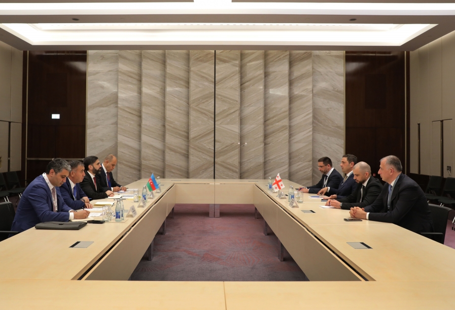 Обсуждены вопросы развития сотрудничества между Азербайджаном и Грузией в энергетической сфере