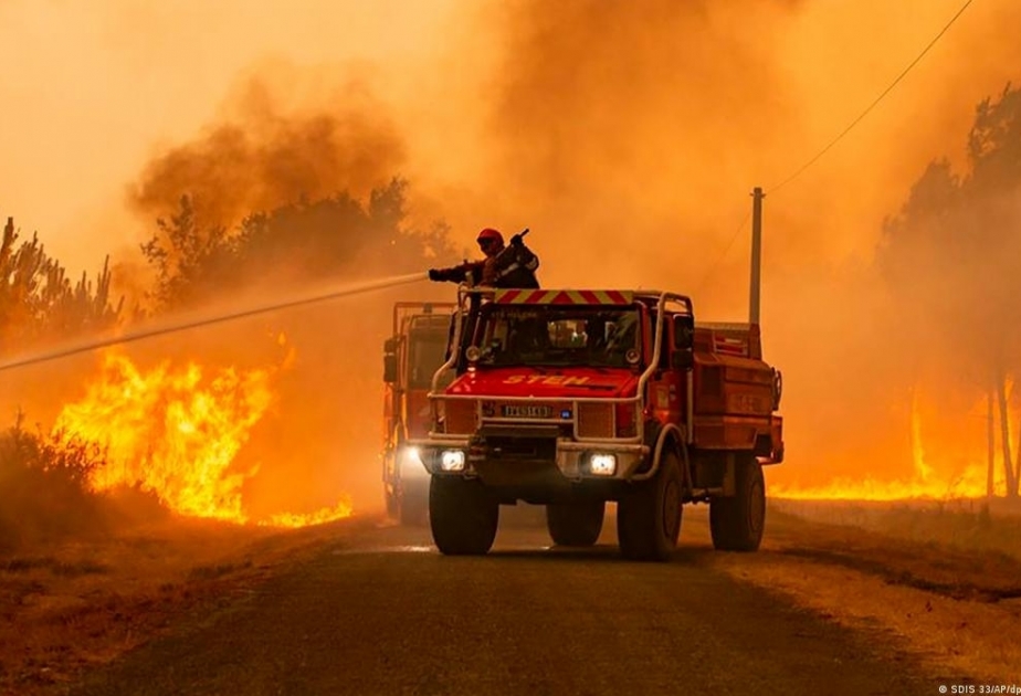 'Unprecedented' start to wildfire season destroyed almost 3 million hectares of forest: Blair