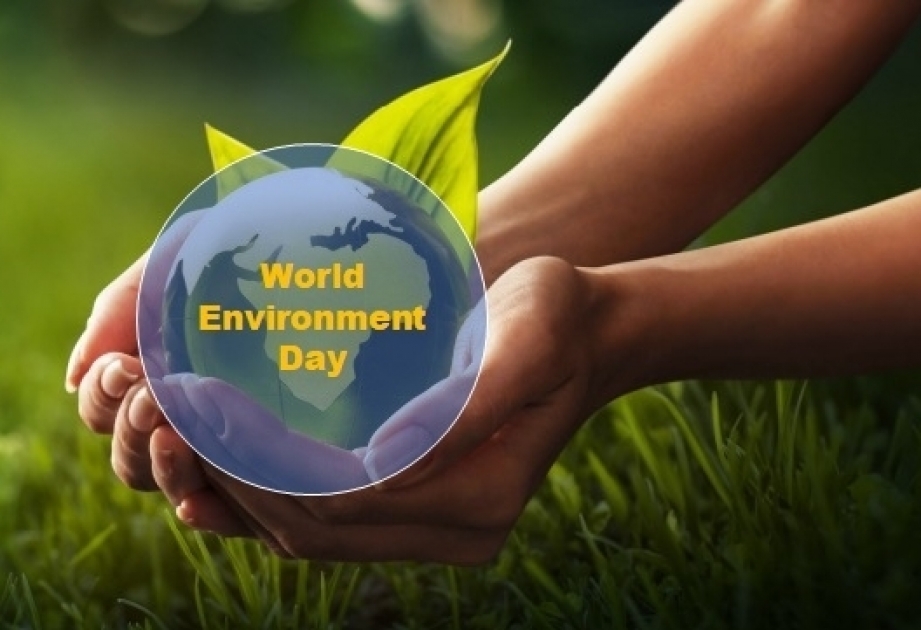 Aujourd’hui, c’est la Journée mondiale de l’environnement