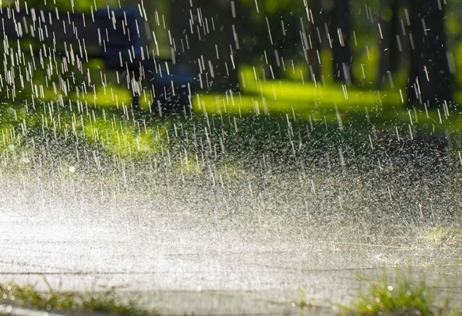 巴库和阿布歇隆半岛降雨量占月降雨量的 200%