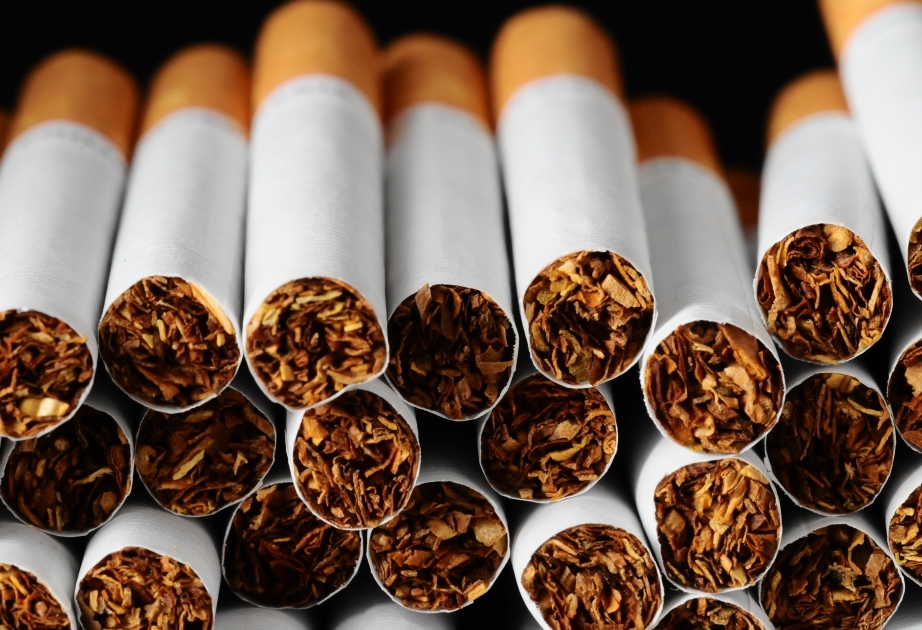 Smoking rates have fallen globally, Germany lagging: WHO