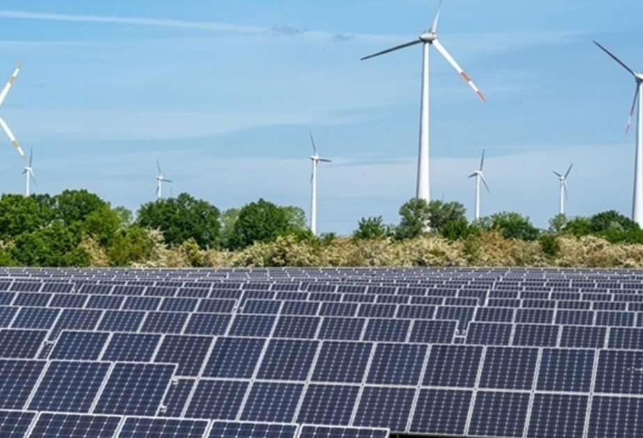 Worldwide renewable energy capacity up by 50% in 2023 but more work needed