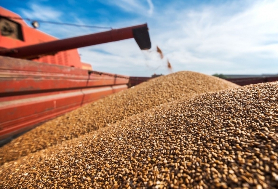 روسيا تخطط لتصدير 70 مليون طن من الحبوب هذا العام