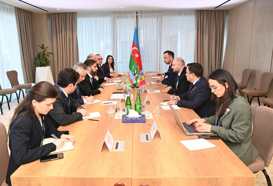 阿塞拜疆石油公司总裁会见摩尔多瓦能源部部长