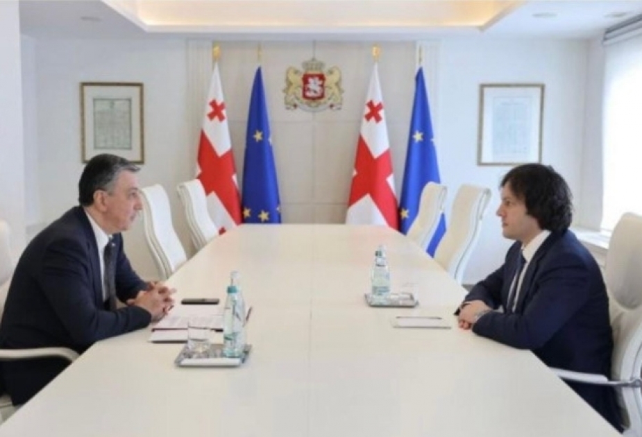 讨论阿塞拜疆与格鲁吉亚之间重要的战略项目