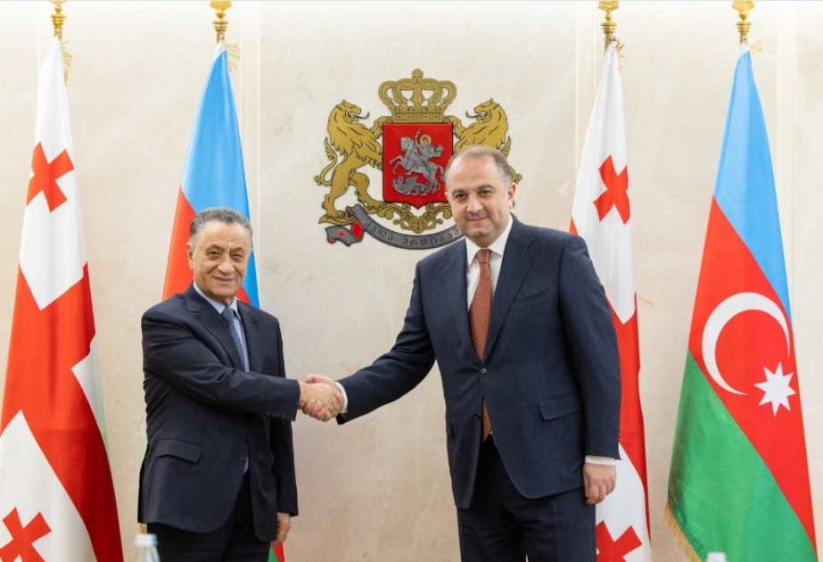 阿塞拜疆安全委员会秘书会见格鲁吉亚国防部长