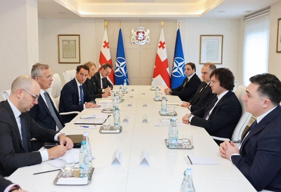 الأمين العام للناتو يلتقي رئيس الوزراء الجورجي
