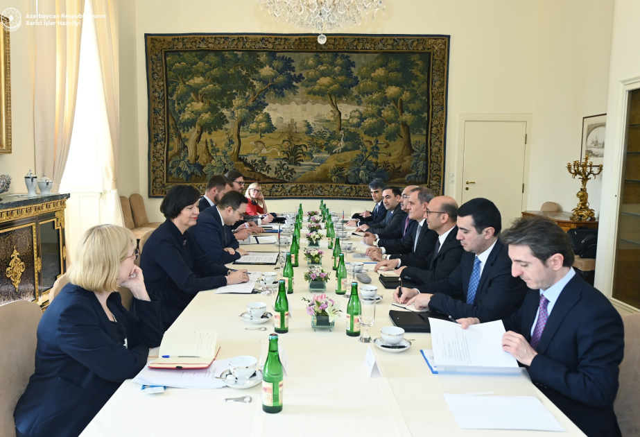 وزير الخارجية يحيط نظيره التشيكي علما بعملية التطبيع الأذربيجاني الأرميني