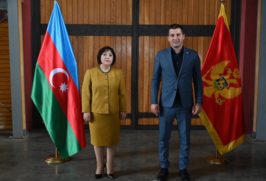 阿塞拜疆国民议会议长会见黑山副总理