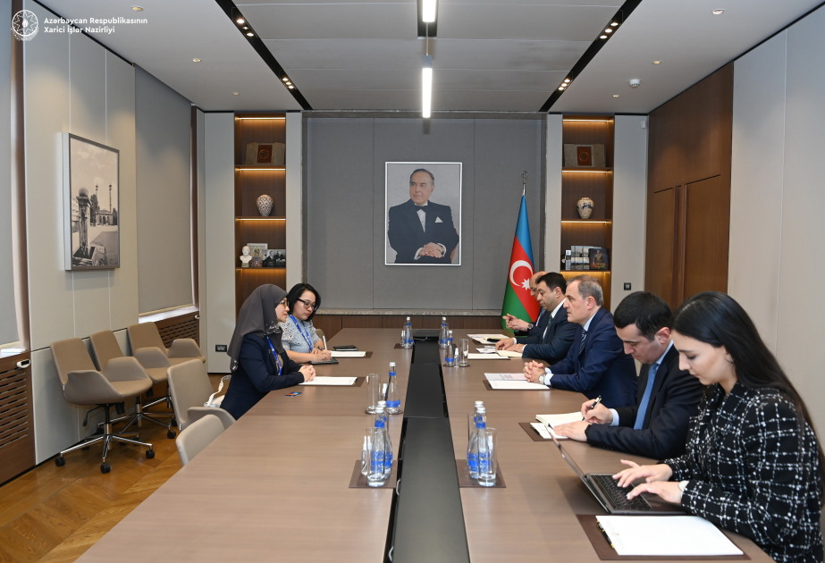 El Canciller de Azerbaiyán informa a la Secretaria General de la AIPA sobre el proceso de preparación de la COP29
