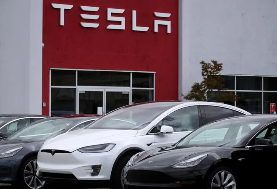 Tesla suing Indian company for using its name