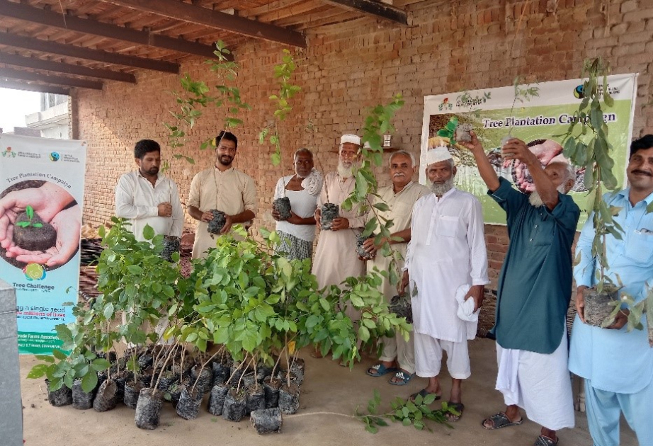 Pakistan launches plantation campaign to increase forest area, counter pollution