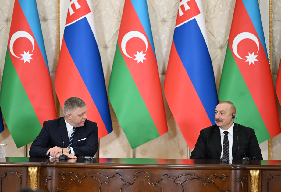روبرت فيتسو: أذربيجان دولة نموذجية ذات السيادة