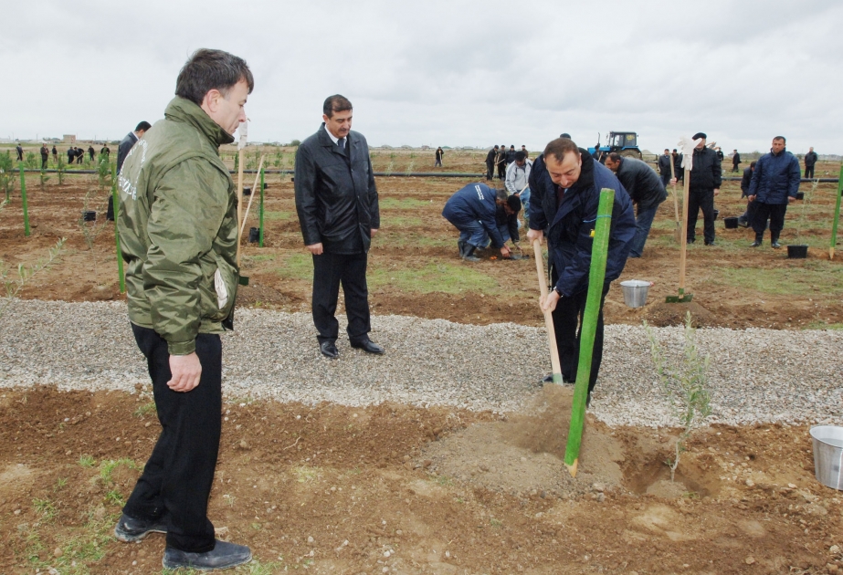 AZƏRBAYCAN PREZİDENTİ İLHAM ƏLİYEV HEYDƏR ƏLİYEV ADINA HAVA LİMANINA ÇƏKİLMİŞ YOLUN KƏNARINDA VƏ ZIĞ–GÜNƏŞLİ YAMACINDA GÖRÜLƏN YAŞILLAŞDIRMA İŞLƏRİ İLƏ TANIŞ OLMUŞDUR