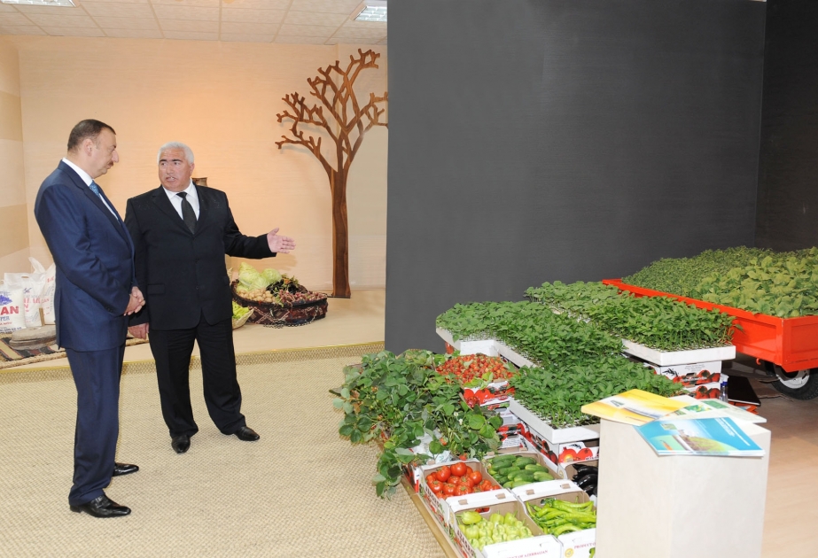 PREZİDENT İLHAM ƏLİYEV ŞƏMKİRDƏ İSTEHSAL OLUNAN MƏHSULLARIN SƏRGİSİNƏ BAXMIŞDIR