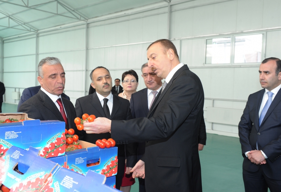 Masallıda “Masera” MMC-nin soyuducu anbar və istixana kompleksləri istifadəyə verilmişdir