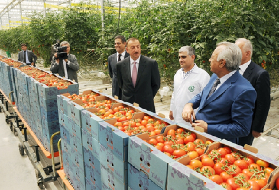 Le président azerbaïdjanais Ilham Aliyev a visité le complexe de serre de la SARL « Green Tech » d’Azersun Holding situé dans le bourg de Bina