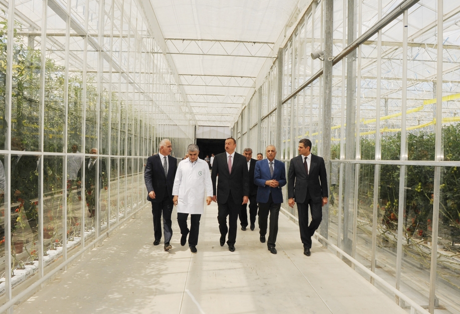 Azərbaycan Prezidenti İlham Əliyev Binə qəsəbəsində yerləşən “Azərsun Holdinq” Şirkətlər Qrupuna məxsus “Green Tech” Məhdud Məsuliyyətli Cəmiyyətin müasir istixana kompleksi ilə tanış olmuşdur