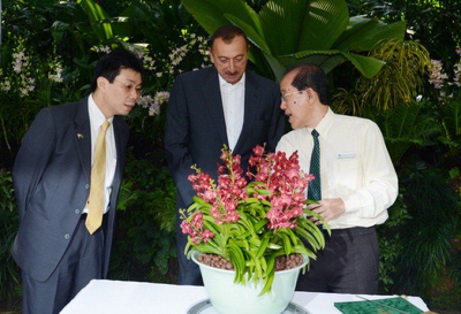 Le président M. Ilham Aliyev a visité le Jardin National des orchidées de Singapour