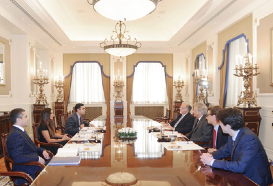 M. Mehriban Aliyeva, première dame d’Azerbaïdjan a rencontré M. Dominique de Villepin, ancien premier ministre français