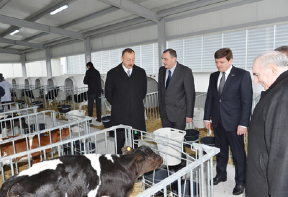 Le président azerbaïdjanais Ilham Aliyev a participé à l’ouverture du Complexe d’élevage laitier à Gabala